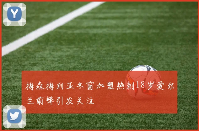 梅森梅利亚冬窗加盟热刺18岁爱尔兰前锋引发关注