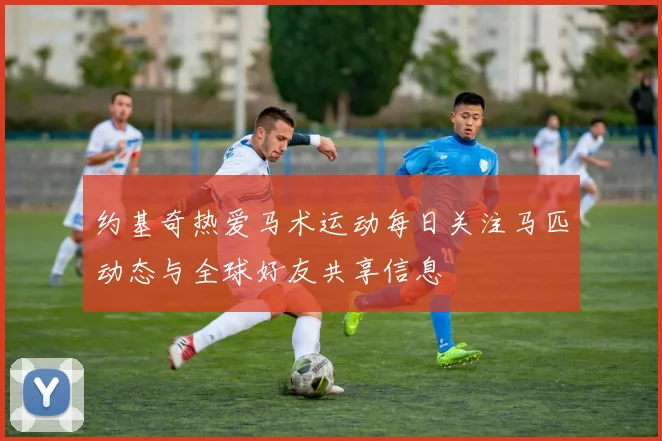 约基奇热爱马术运动每日关注马匹动态与全球好友共享信息