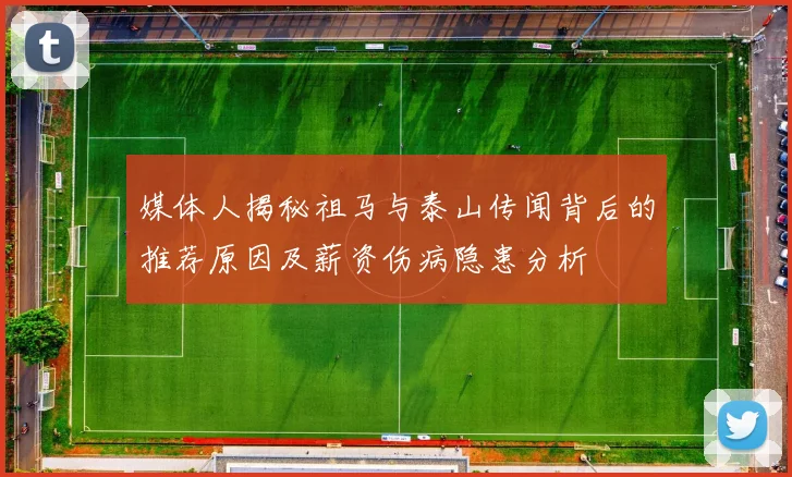 媒体人揭秘祖马与泰山传闻背后的推荐原因及薪资伤病隐患分析