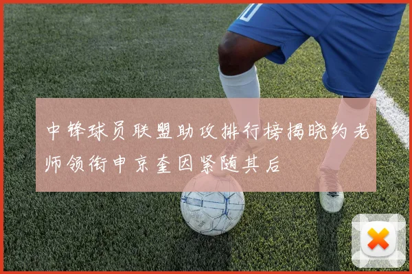 中锋球员联盟助攻排行榜揭晓约老师领衔申京奎因紧随其后