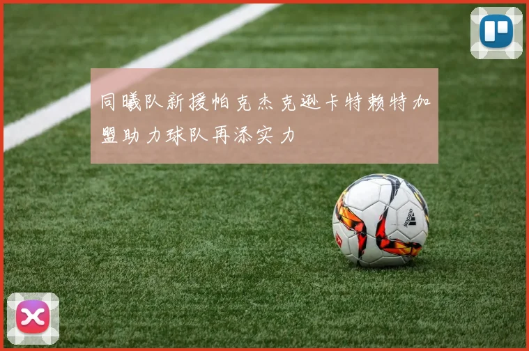 同曦队新援帕克杰克逊卡特赖特加盟助力球队再添实力