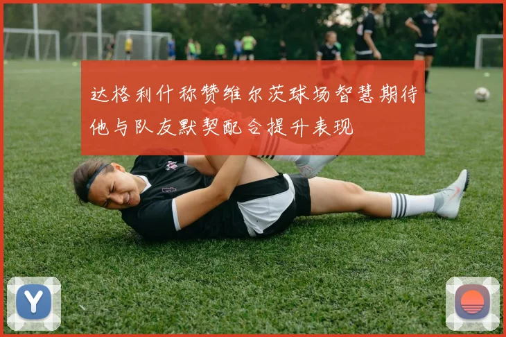 达格利什称赞维尔茨球场智慧期待他与队友默契配合提升表现