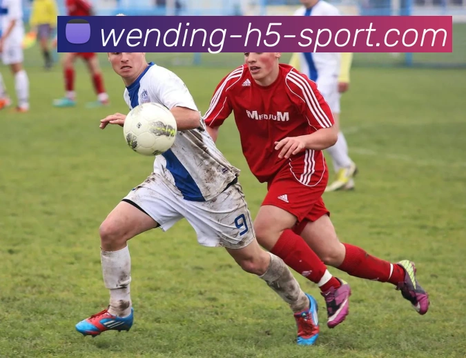 多媒体互动体验