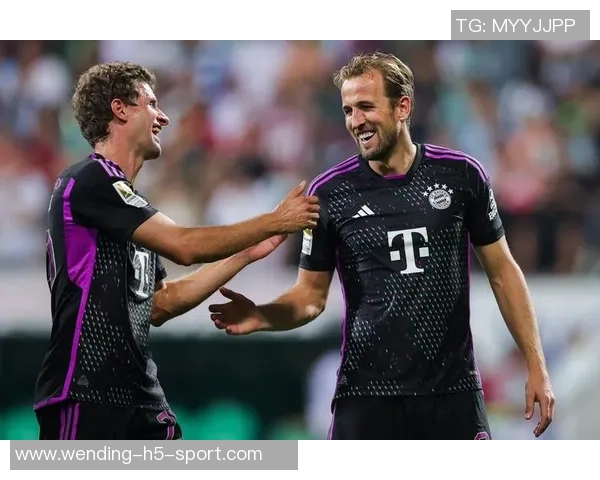 热刺对武什科维奇在汉堡的外租表现表示满意视其为球队重要一员