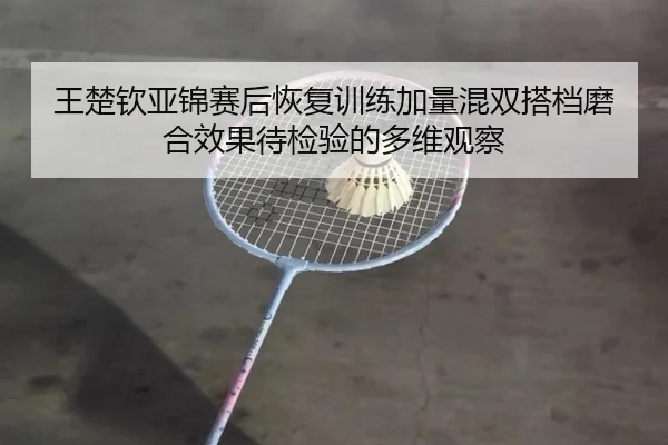 王楚钦亚锦赛后恢复训练加量混双搭档磨合效果待检验的多维观察